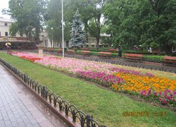 Озеленення території міста Одеса